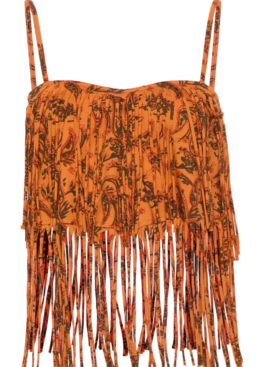 Monsoon paisley-print Alanui Women top 0824